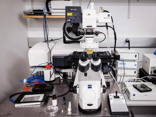 LSM 880 Confocal microscope